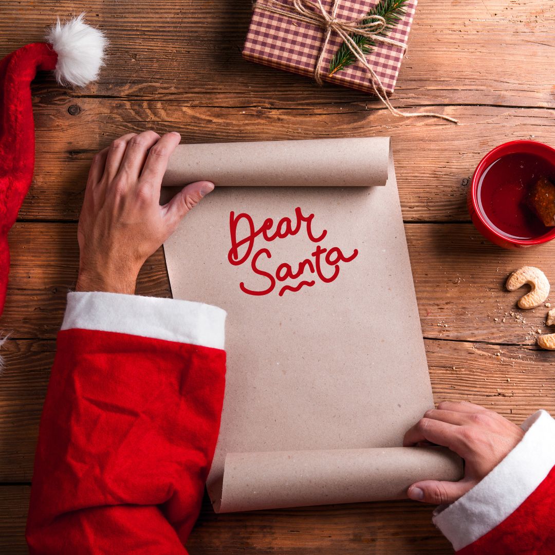 Dear Santa, Here’s My Letter! Pip + Willow